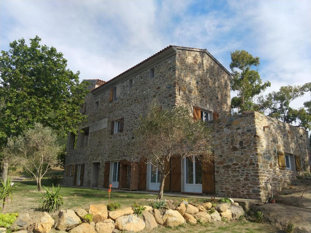 Mulinu Biancu Otel Poggio-d'Oletta Dış mekan fotoğraf