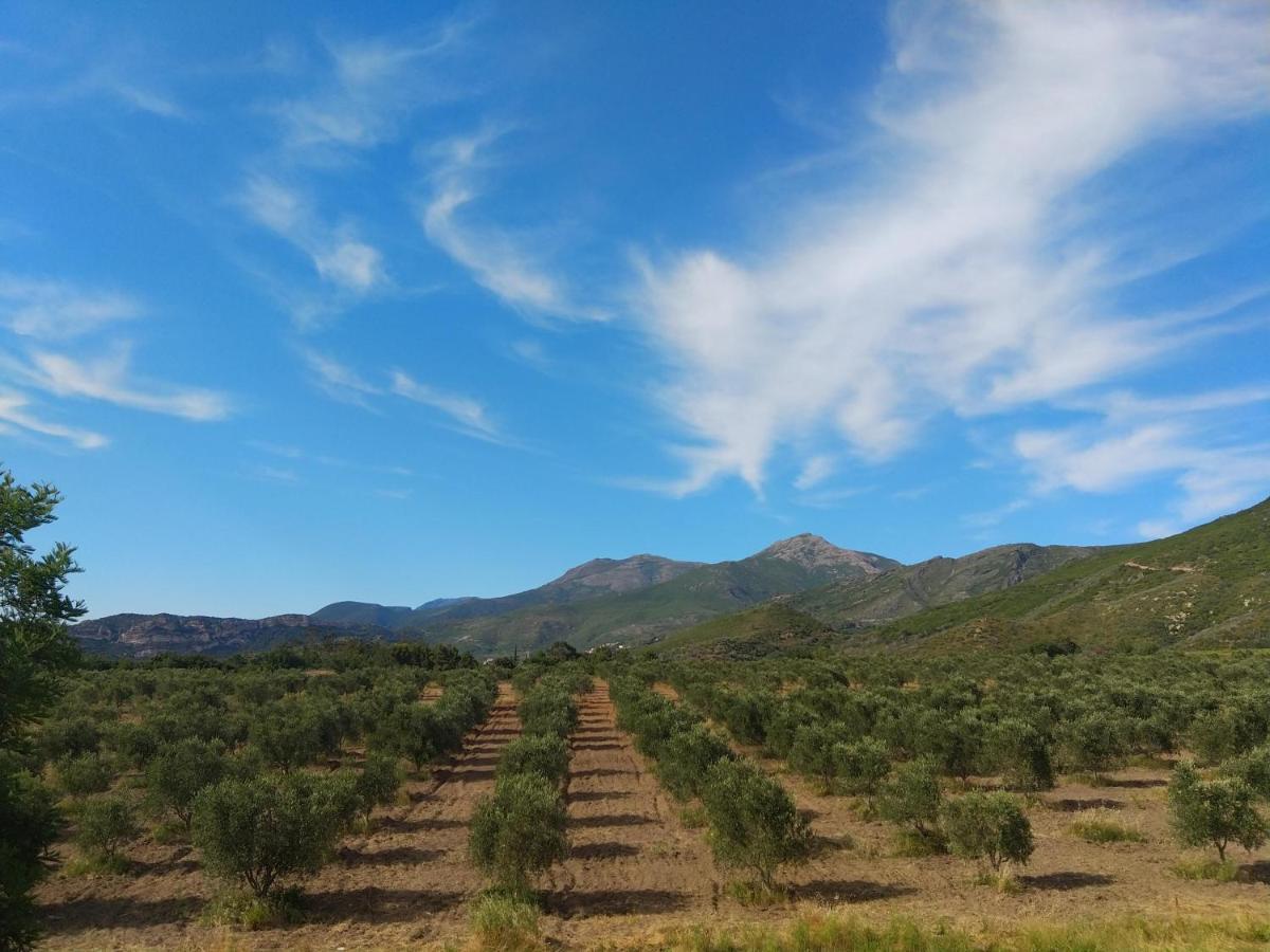 Mulinu Biancu Otel Poggio-d'Oletta Dış mekan fotoğraf
