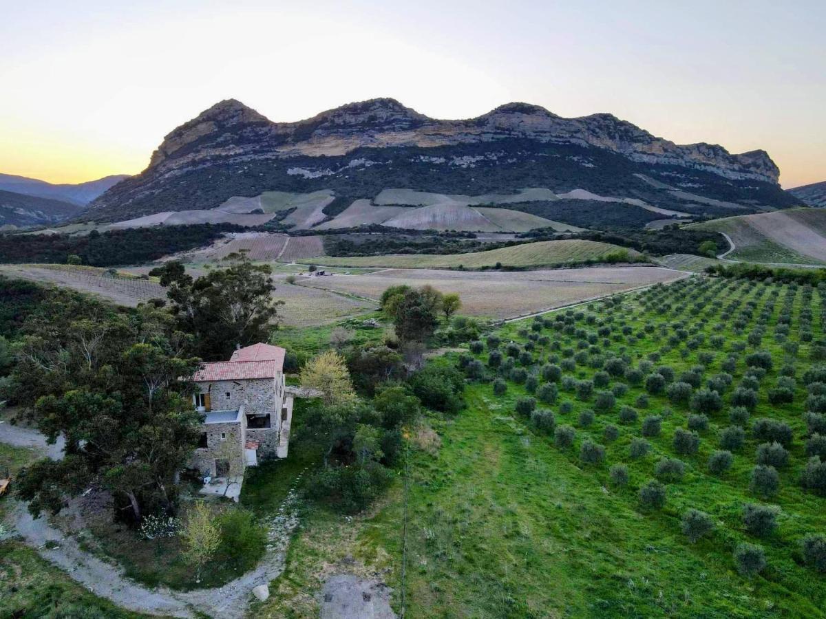 Mulinu Biancu Otel Poggio-d'Oletta Dış mekan fotoğraf