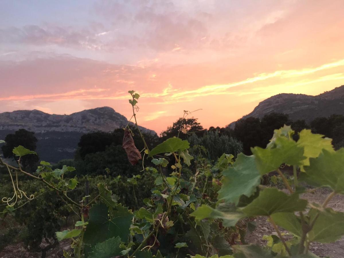 Mulinu Biancu Otel Poggio-d'Oletta Dış mekan fotoğraf