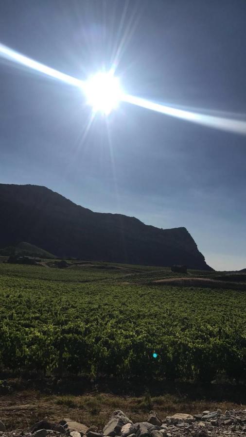 Mulinu Biancu Otel Poggio-d'Oletta Dış mekan fotoğraf