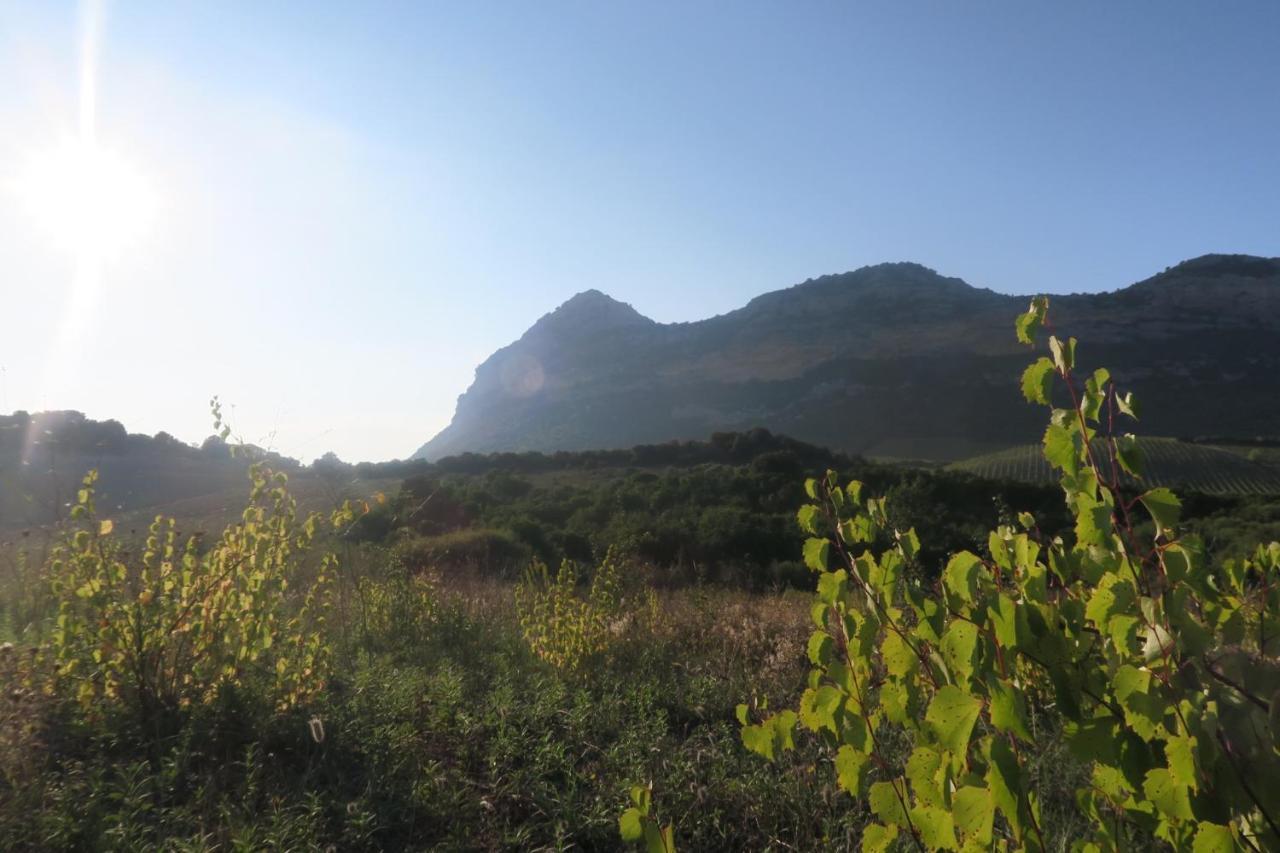 Mulinu Biancu Otel Poggio-d'Oletta Dış mekan fotoğraf